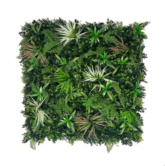 Kunsthaag grof blad Jungle wit varen - 1m2