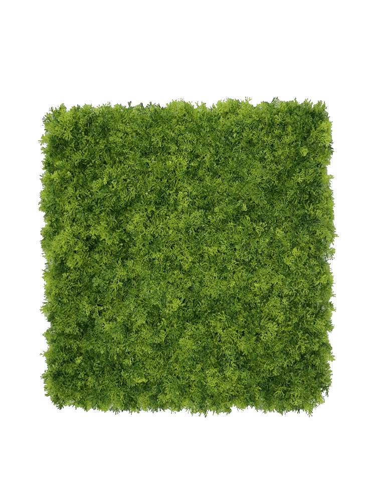 Moswand Deep donker groen 50 x 50 cm