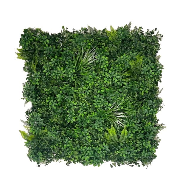 Kunsthaag schefflera donker - 1m2