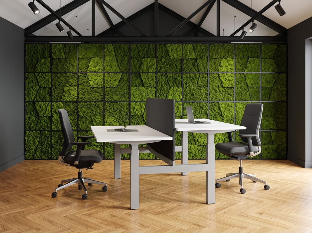 Zit-sta duo-bureau elektrisch 'Professional' – Wit, Met scheidingswand 59cm hoog (hoogte vanaf vloer 110cm), Aluminium, 03 Anthracite, 200x80cm