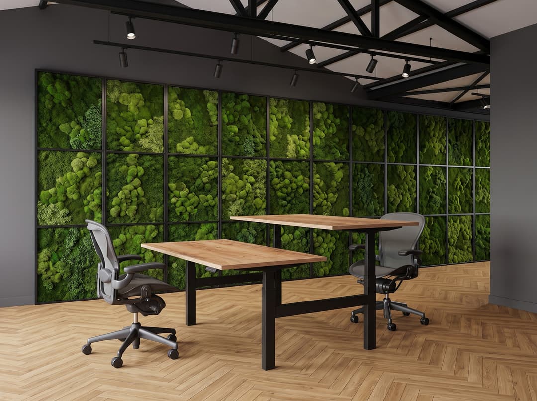 Zit-sta duo-bureau elektrisch 'Professional' – Natuur eiken, 140x80cm, Zwart , Zonder scheidingswand, Geen scheidingswand