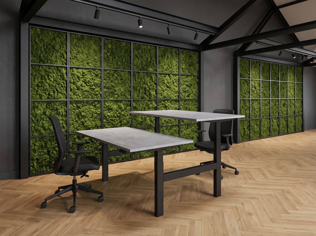 Zit-sta duo-bureau elektrisch 'Professional' – Zwart , 160x80cm, Oxyd, Zonder scheidingswand, Geen scheidingswand